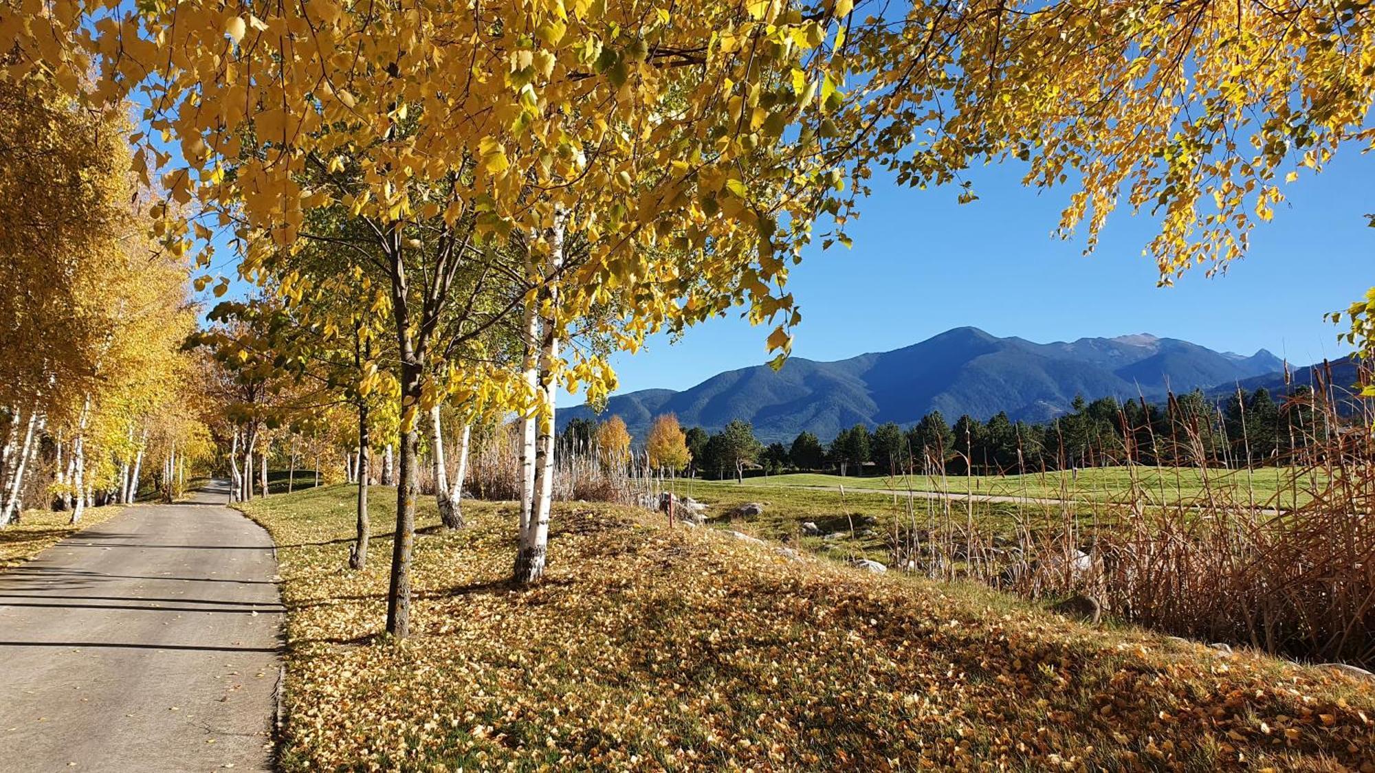 Green Peaks Suite In Pirin Golf & County Club Razlog Exteriör bild