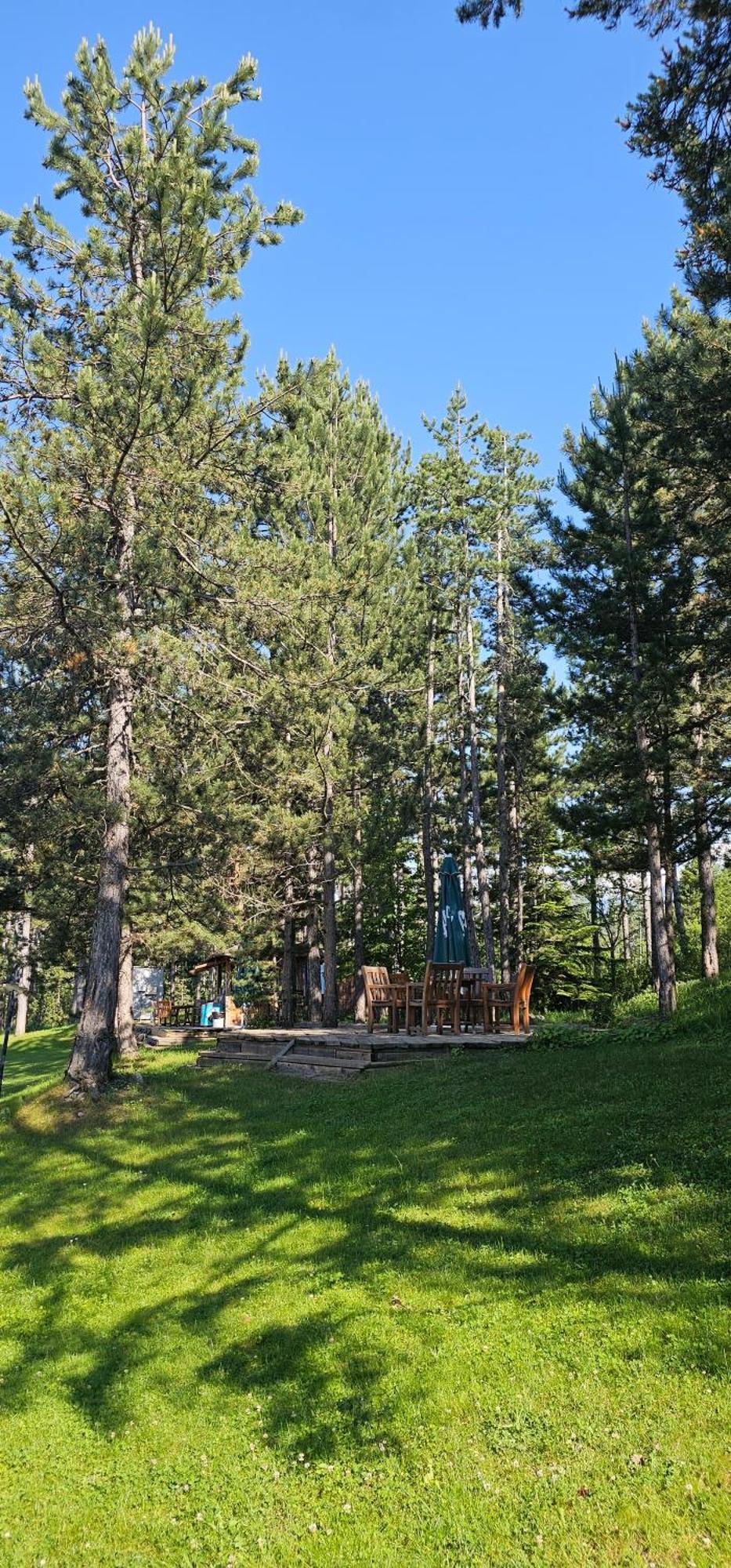 Green Peaks Suite In Pirin Golf & County Club Razlog Rum bild